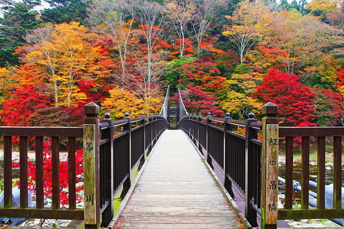 紅の吊橋