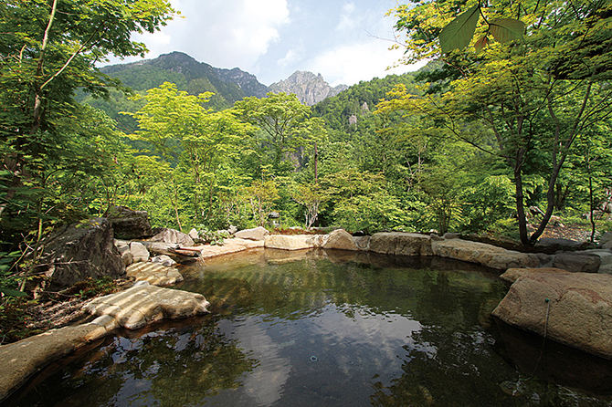 野の花山荘