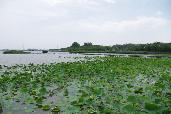 川釣り
