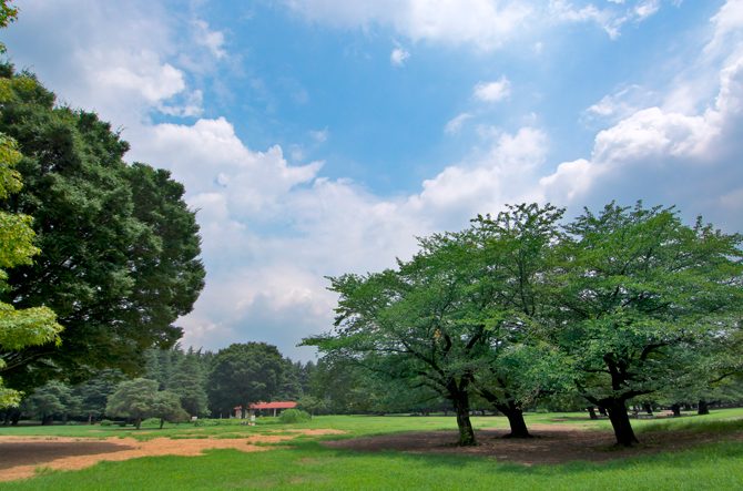 【東京】編集部おすすめの広い公園ランキング18選！自然散策やピクニックを楽しもう