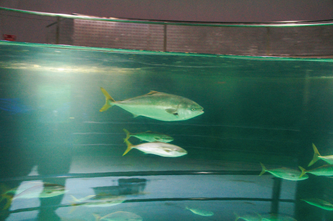 城崎マリンワールド