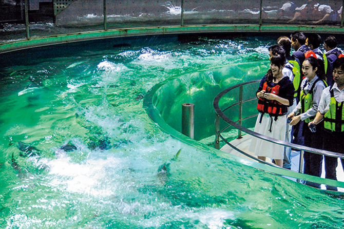 城崎マリンワールド