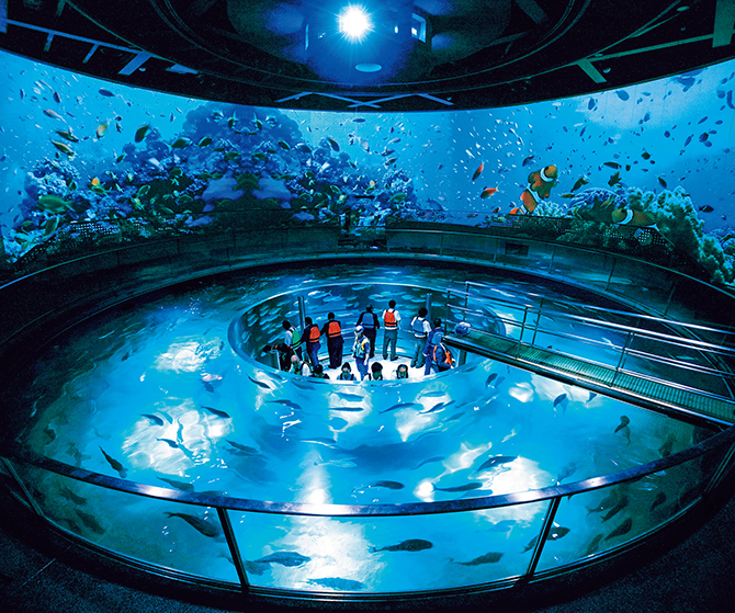 城崎マリンワールド