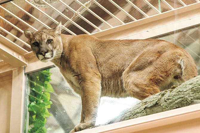 神戸どうぶつ王国