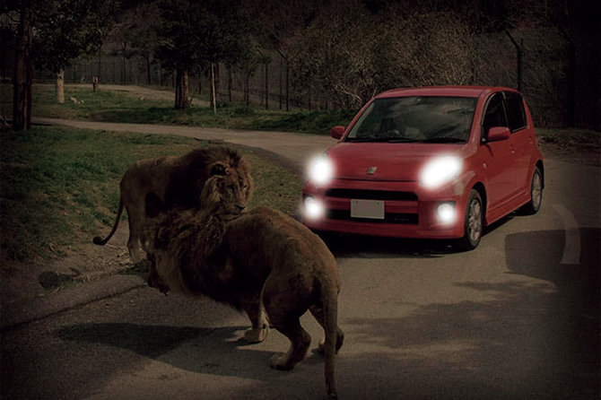 姫路セントラルパーク