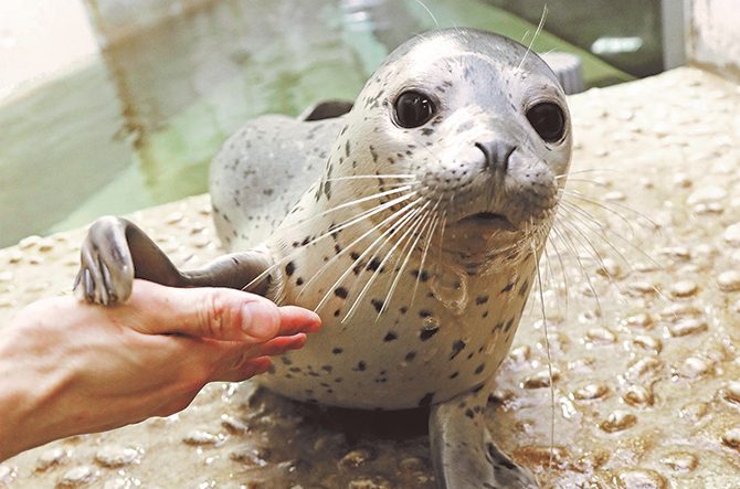 兵庫 カップルで行きたいデートスポット23選 定番から穴場まで じゃらんニュース