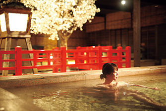 有馬温泉 太閤の湯