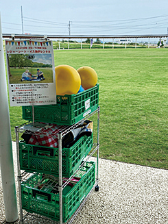 道の駅 パレットピアおおの