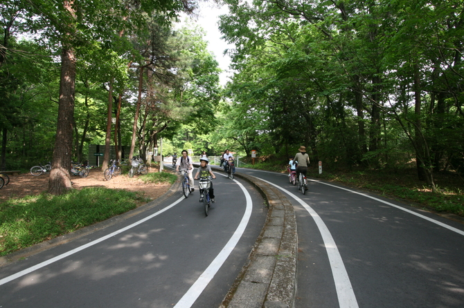 画像提供：国営武蔵丘陵森林公園