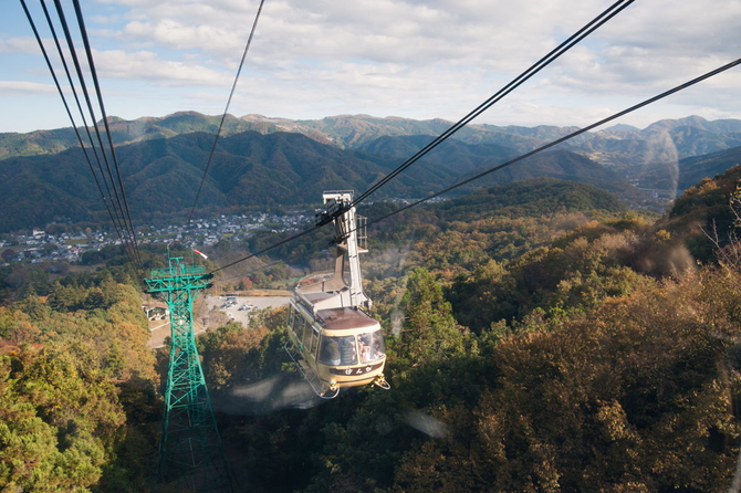 画像出典：じゃらん観光ガイド　宝登山ロープウェイ