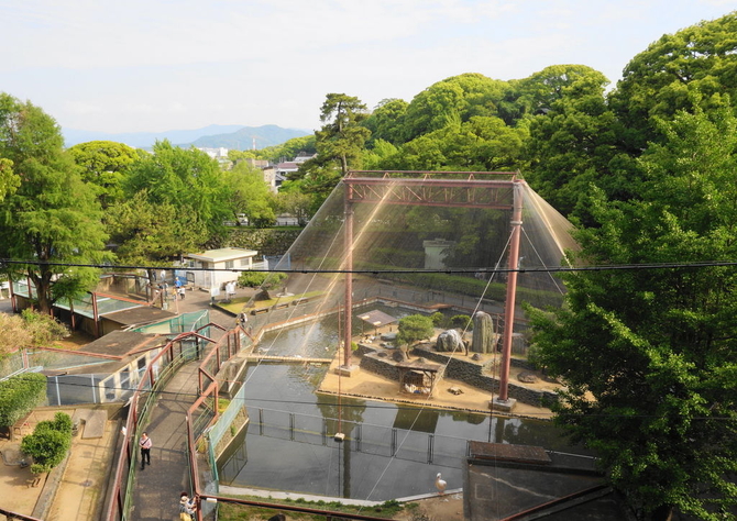 画像出典:じゃらん観光ガイド 和歌山城公園動物園