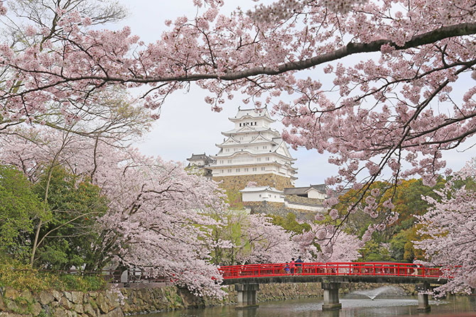 画像提供:姫路市