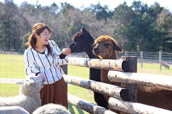 関東 日帰りデートおすすめスポット15選 東京から片道約2時間以内で行ける じゃらんニュース