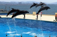 福岡県のおすすめ観光スポットランキング25選！定番を厳選！グルメ情報も