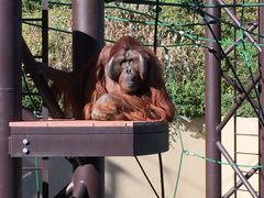画像出典:じゃらん観光ガイド 福岡市動植物園