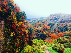 画像出典:じゃらん観光ガイド 九酔峡