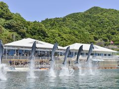 画像出典:じゃらん観光ガイド うみたま体験パーク「つくみイルカ島」