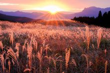 【関西】秋に行きたい絶景スポットおすすめ24選！紅葉が美しい寺や城、ススキ高原も