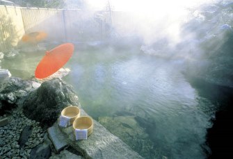 いろり会席と源泉100%秘湯の宿 平の高房