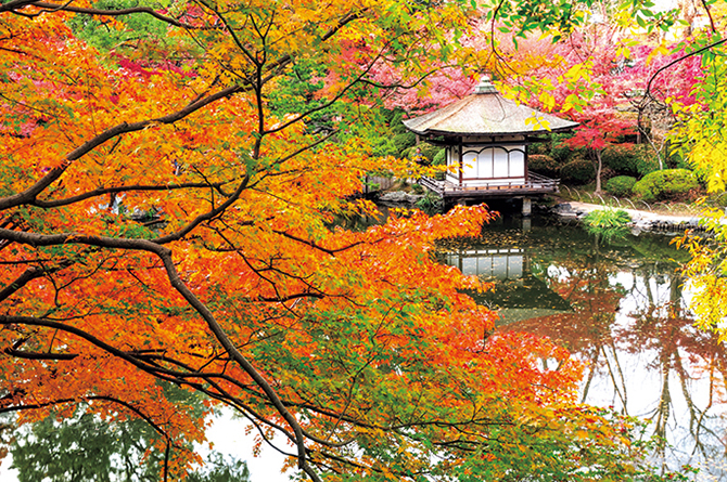 西之丸庭園（紅葉渓庭園）