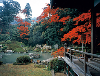 青蓮院門跡