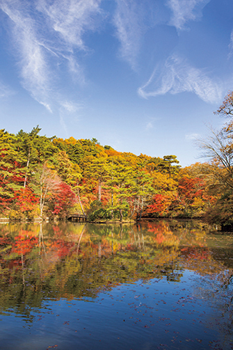 神戸市立森林植物園