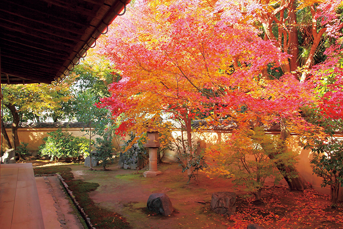大徳寺 興臨院