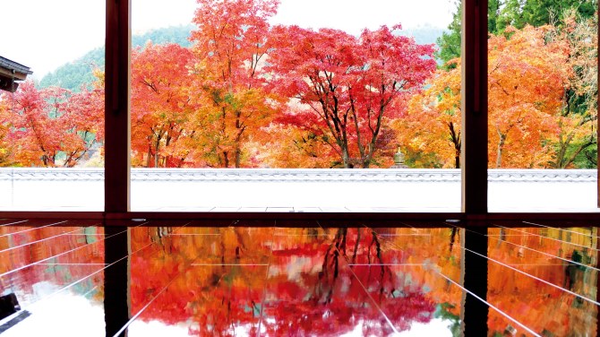 宝徳寺