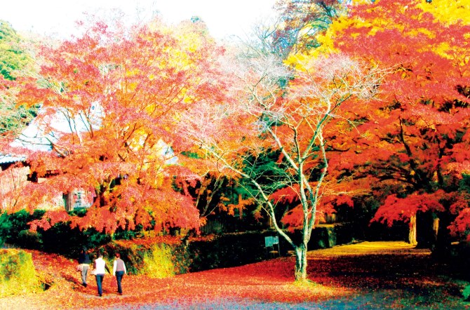 小松寺