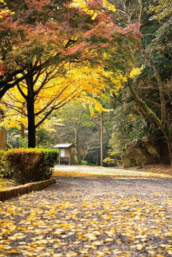 吾平山上陵