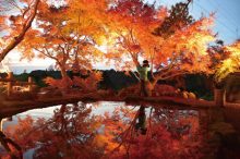 【2020最新】九州の絶景「逆さ紅葉」おすすめ6選。まるで鏡のような景色が幻想的