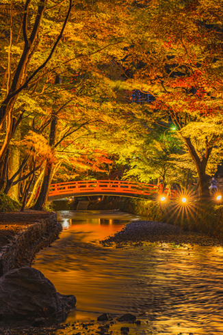 遠江国一宮 小國神社