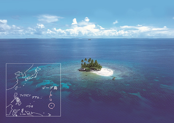 Starry Island 南十字星を見上げて