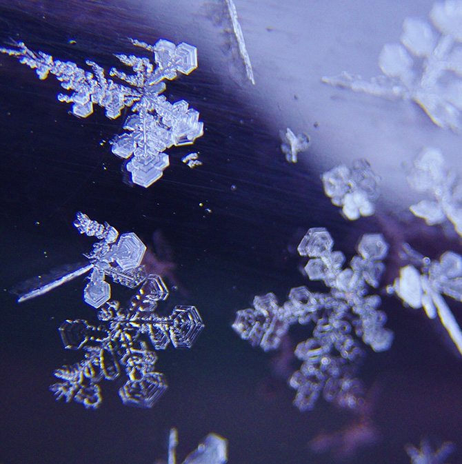 雪の結晶