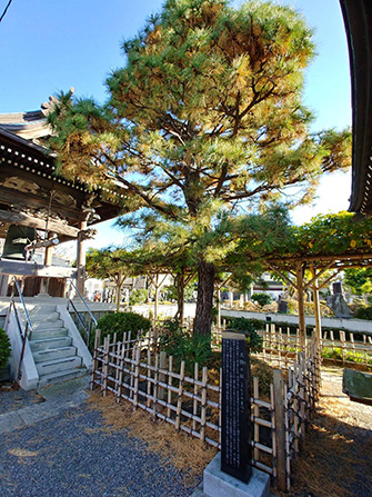 松寿山 不動院 東福寺