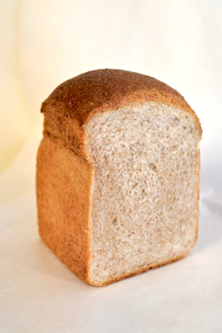 panscape 三条本店