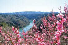 関西・中国・四国「梅の名所」17選。見頃やイベント情報も＜2026＞