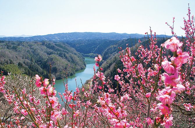 関西・中国・四国「梅の名所」17選。見頃やイベント情報も<2026>