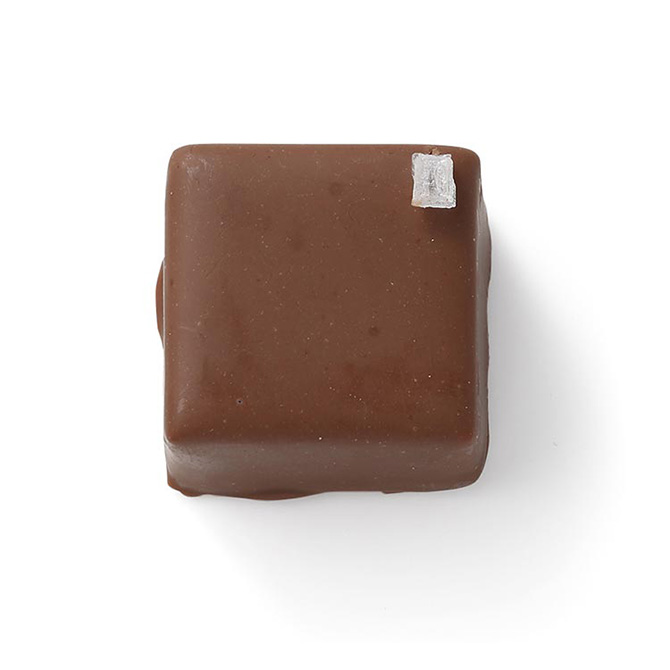 【モンサンクレール】アブリコサレ