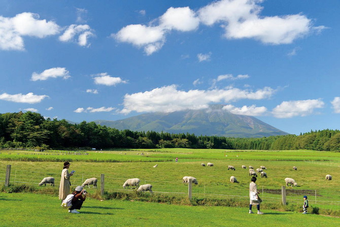 小岩井農場