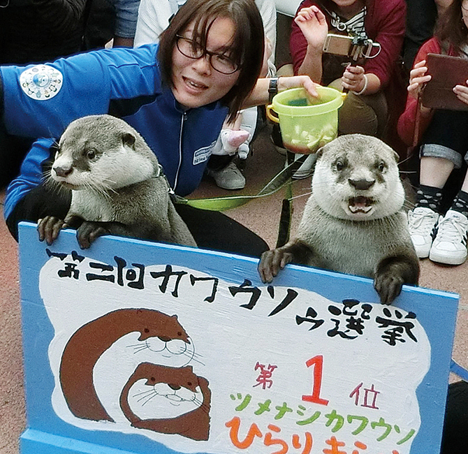 伊勢シーパラダイス