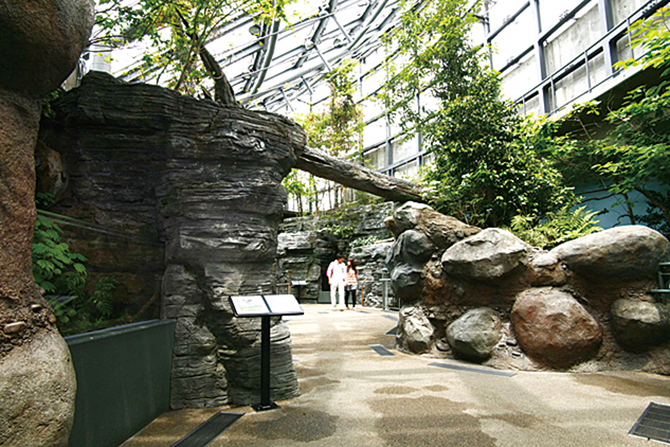 世界淡水魚園水族館 アクア・トト ぎふ