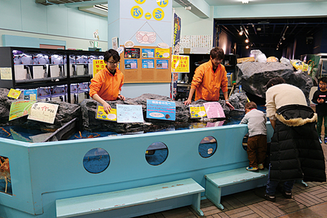 蒲郡市竹島水族館