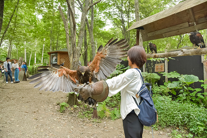 (画像提供:ノースサファリサッポロ)