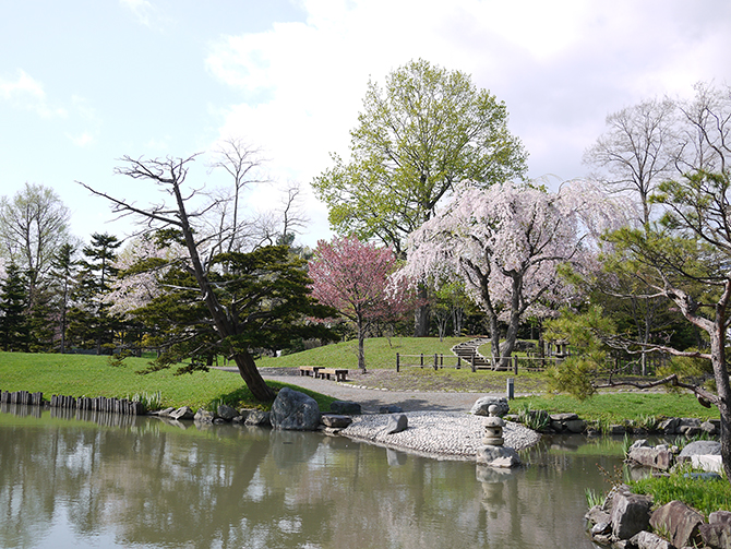 (画像提供:札幌市 中島公園管理事務所)