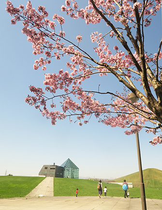 (画像提供:モエレ沼公園)