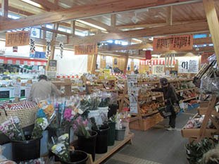 橋の駅 ドロンパ