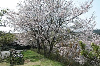 森山餅田山グラウンド