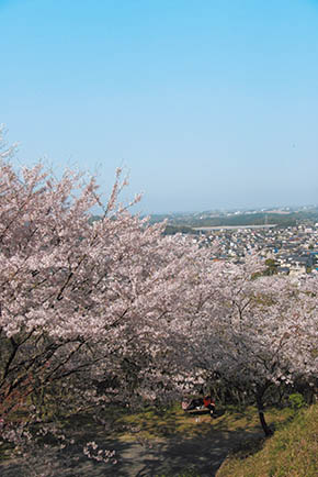 金毘羅山
