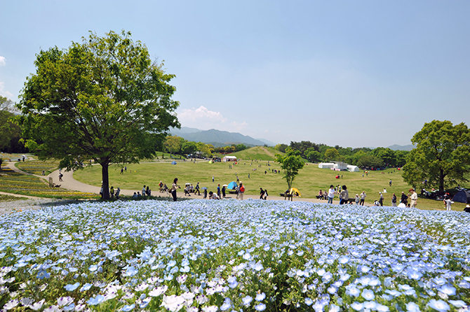 (画像提供:国営讃岐まんのう公園)